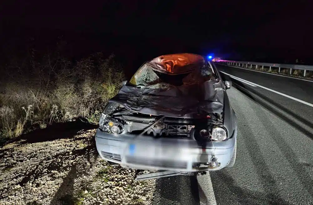 Automobil usmrtio kravu na cesti između Mostara i Širokog Brijega