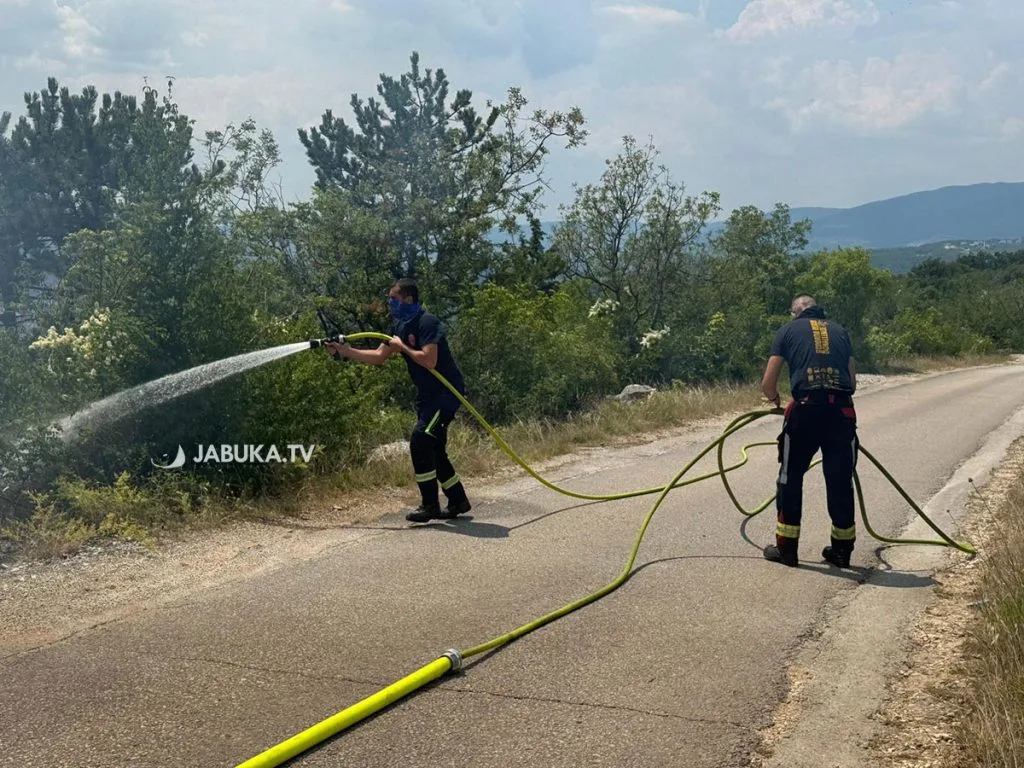 Pet intervencija vatrogasaca u ŽZH: U Crvenom Grmu pomagala dva Air Tractora