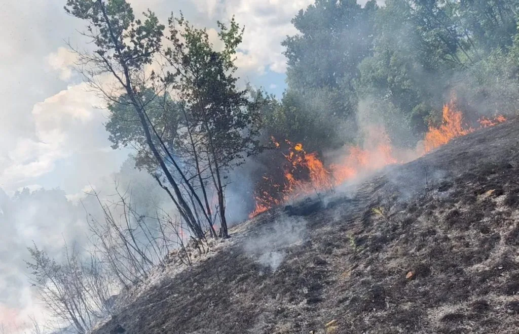 Požar iznad Uzarića prijetio kućama i autootpadu, vatrogasci brzo reagirali