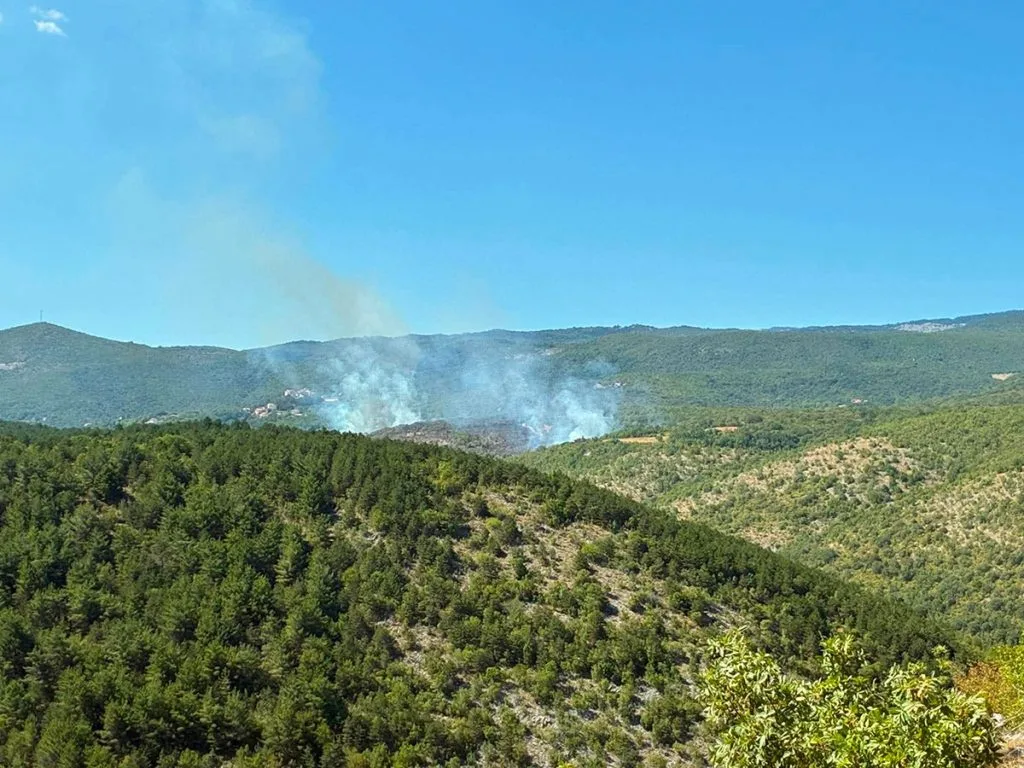 Požar u Gornjem Crnču: Zatražena i pomoć Air Tractora