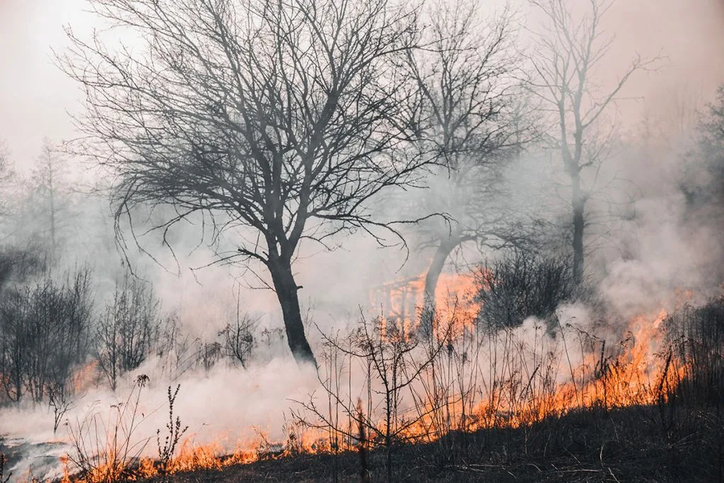 Požari u HNŽ-u ne jenjavaju: Aktivna tri velika požarišta, angažirane i zračne snage