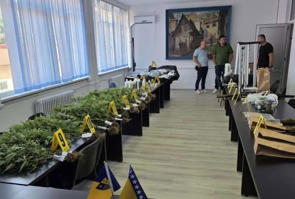 Velika policijska akcija u Goraždu: Otkrivena laboratorij za uzgoj marihuane