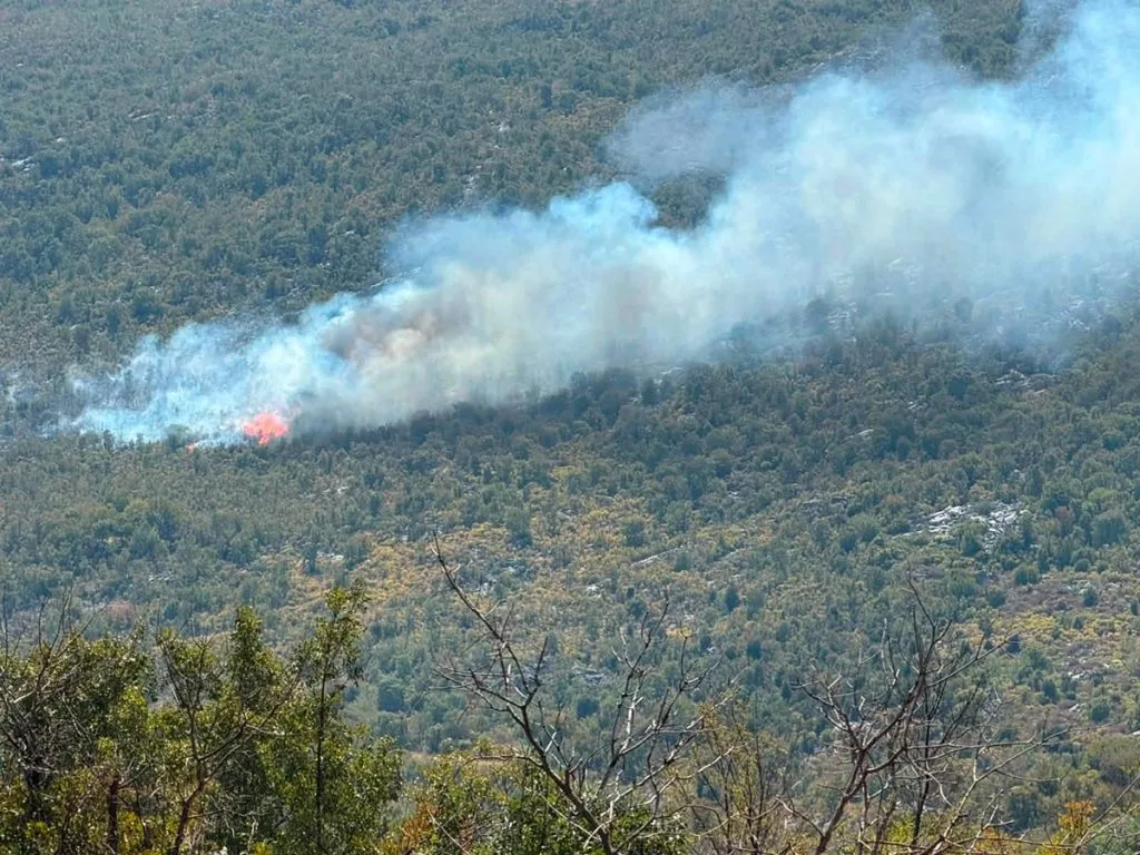 Ponovno se aktivirao požar kod Gruda, stiže Air Tractor