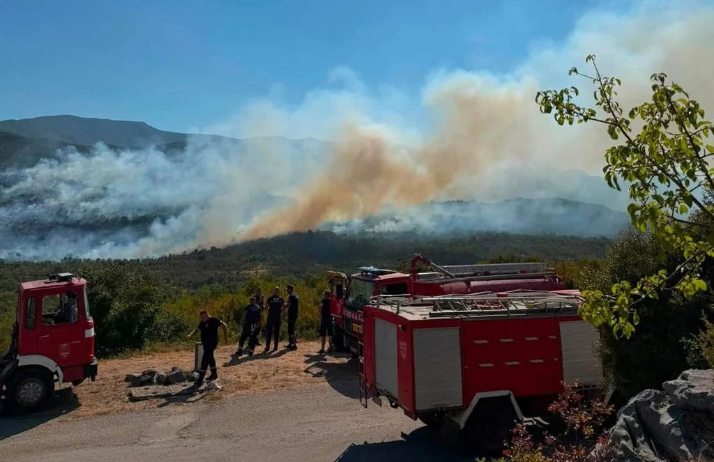 Požar kod Gruda: Intervenirali vatrogasci s obje strane granice, opožareno oko 60 hektara