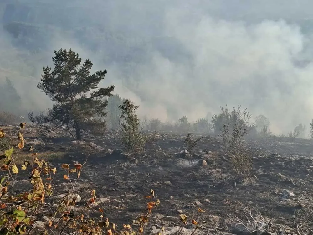Požar na Trebeviću još uvijek aktivan, gašenje otežava nepristupačan teren