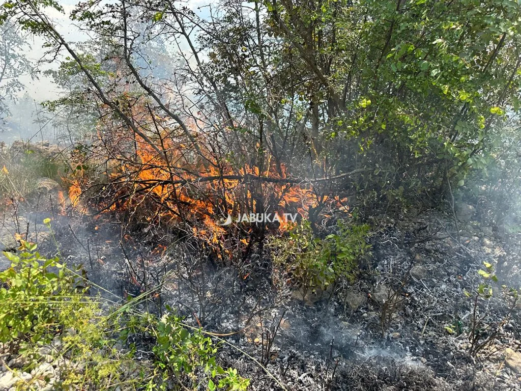Požar u Gornjem Gracu, vatra se širi u blizini farme