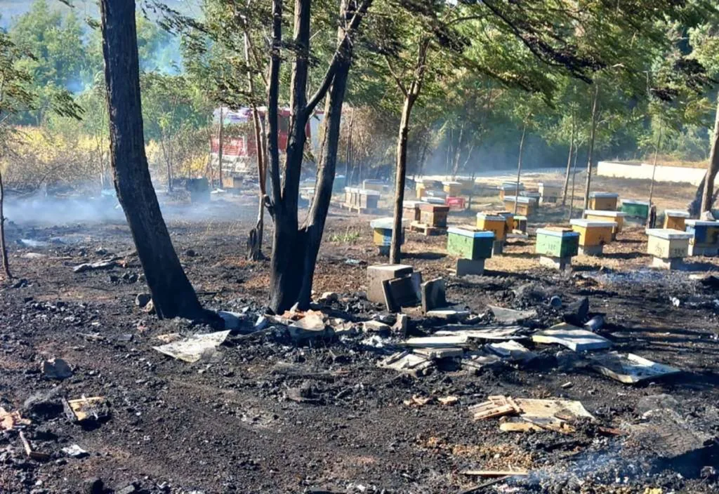 Velika šteta kod Ljubuškog: Vatra pčelaru po drugi put progutala pčelinjak