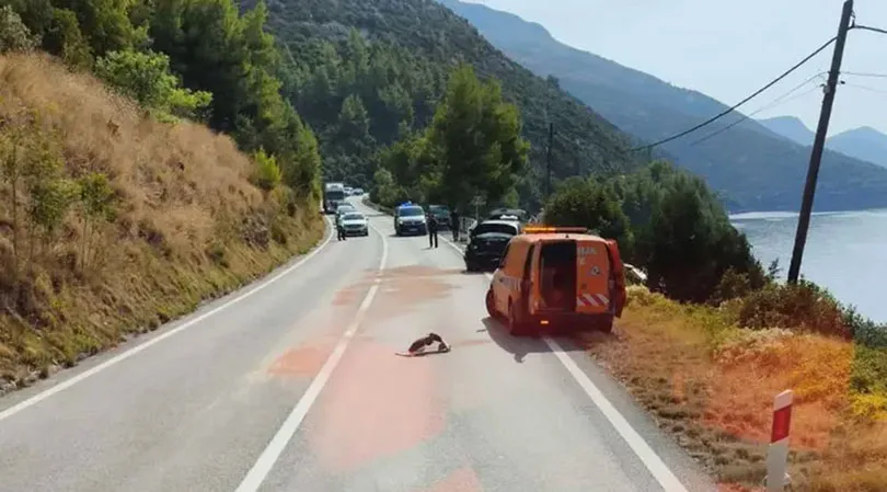 Vozač zaspao za volanom: Dvoje djece teško ozlijeđeno u nesreći kod Dubrovnika