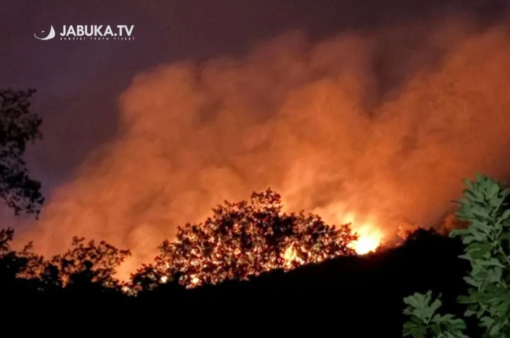 Požari diljem ŽZH: Na Čvrsnici gorjela šuma, u Sovićima bili ugroženi stambeni objekti