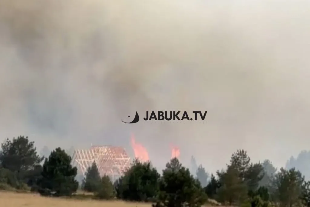 VIDEO | Katastrofa na Blidinju: Kanaderi gase vatru koja je zahvatila vikendice i šumu